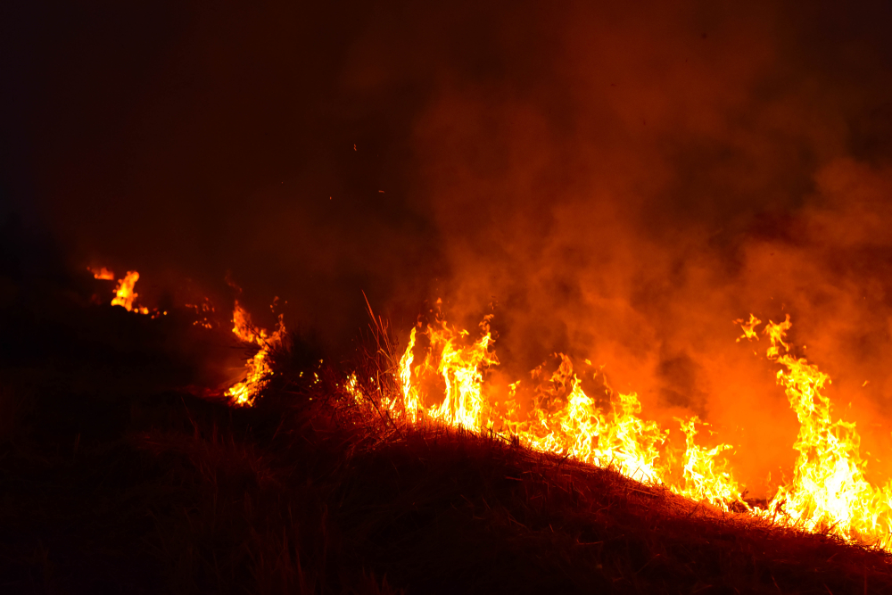 The,fire,burns,rice,straw,and,hay,in,the,field